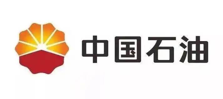 合作同伴六